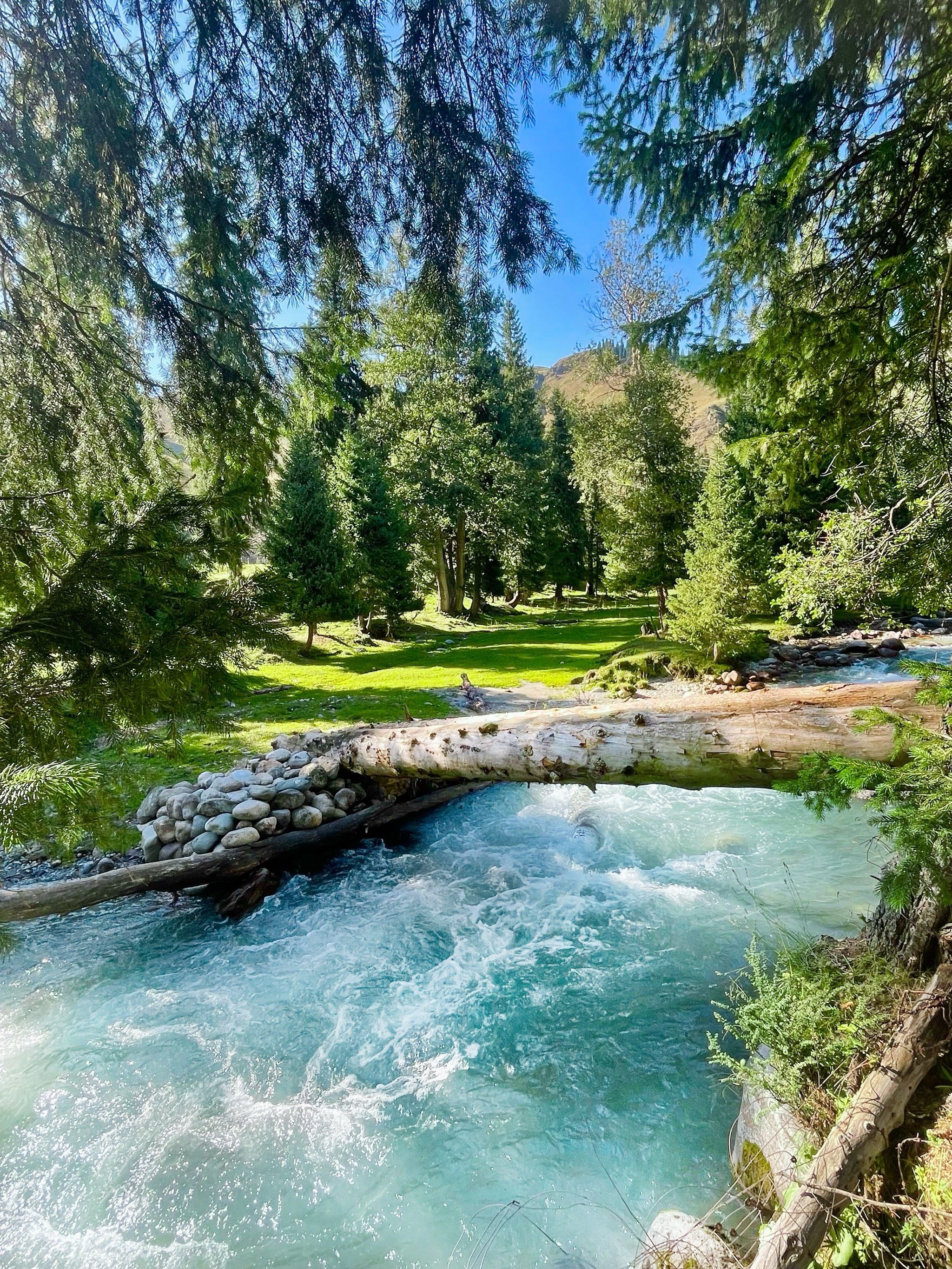 唐布拉路边的秘密美景