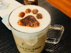 -猫小院猫主题咖啡厅(北锣店)