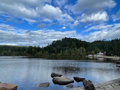 -五营红松林海景区