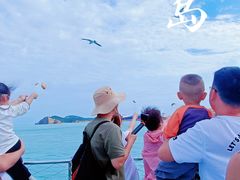 -海驴岛(荣成市)