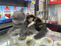 -正飞鲜奶(吐鲁番路店)