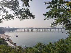 -星海湾跨海大桥