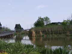 -白鹭湾湿地公园