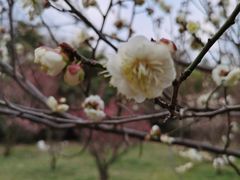 -蜀冈西峰生态公园