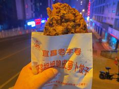 -半月镰胡姐脆皮萝卜饺子