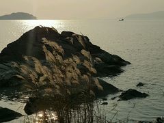 -上海市保健医疗中心(华东疗养院)