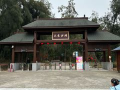 -大京沙滩