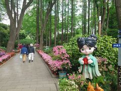 -上海醉白池公园