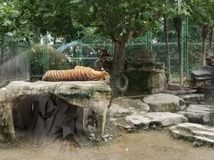 -上海野生动物园