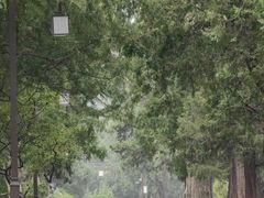 -北京市劳动人民文化宫(太庙)