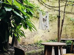 -懒鱼时光馆(沙坪坝店)