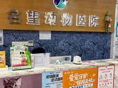 -瑞派名望志远动物医院·猫科·內科·异宠专科(直港大道店)