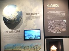 -四川大学博物馆