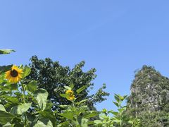 -高荡千年布依古寨旅游景区