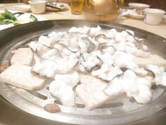 鸭嘴鱼-渔乐里(智荟城店)