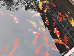 -千滋百味·醉江澜花园餐厅(街道口店)