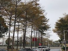 -翠华餐厅(正佳广场店)