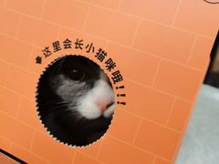 -宠颐生斯嘉宠物医院·急重症·心内科(谷阳北路分院)