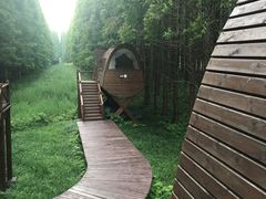 -黄海国家森林公园