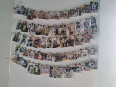 -Husky Go! 哈士奇体验馆·宠物咖啡厅狗咖