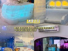 -海合安武汉极地海洋公园