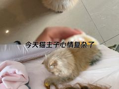 -红星国际广场