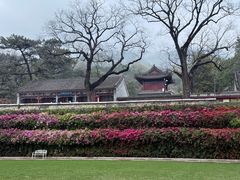 -红螺寺