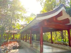 -南岗山公园
