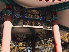 -丰台花园