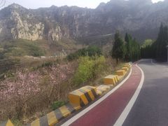 -青龙山生态文化旅游区