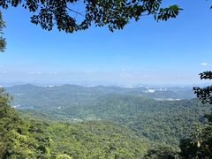 -广州市帽峰山景区