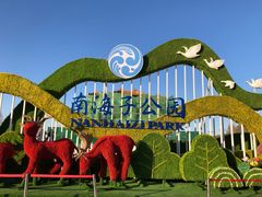 -南海子公园