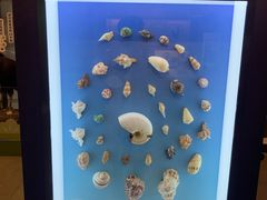-浙江自然博物院(杭州馆)