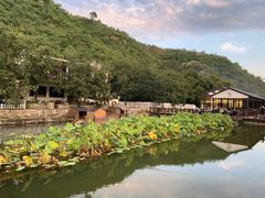 -荷塘味道(水长城店)
