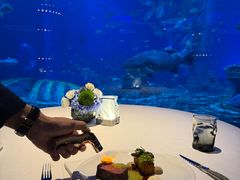 -亚特兰蒂斯•OSSIANO奥西亚诺海底餐厅