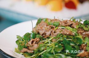 Cilantro Mixed Wagyu Beef