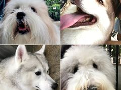 -TrueLove @ Neverland (Husky Cafe)