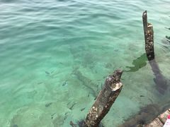 -马奴干岛