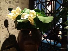 -集咖啡(兴泰御都店)