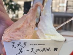 -野人先生Gelato(上海长宁龙之梦店)