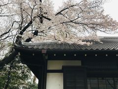 -东京国立博物馆