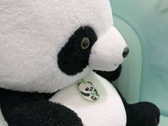 -眉州东坡·熊猫主题餐厅(枫蓝店)