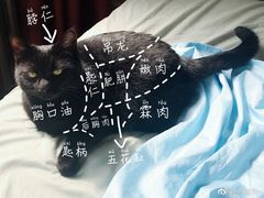 -牛品福潮汕牛肉火锅(旺庄店)