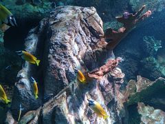 -太平洋海底世界