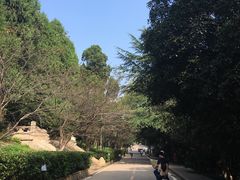 -武汉大学-樱园