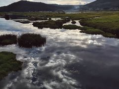 -腾冲北海湿地