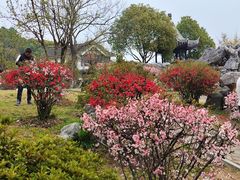 -灵岩山风景区