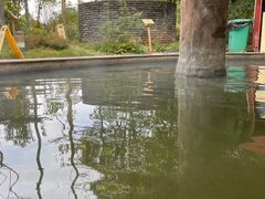 -中铁花水湾四季温泉谷