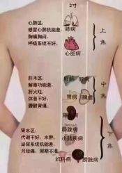 -香薇妮丝女子减肥院
