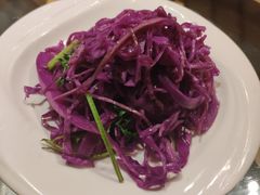 爽口紫甘蓝-兴农记